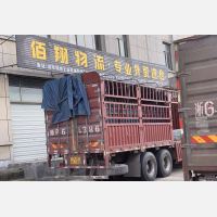 义乌 到 浙江宁波北仑区专线,义乌 到 浙江宁波北仑区直达线路,义乌 到 浙江宁波北仑区中转线路