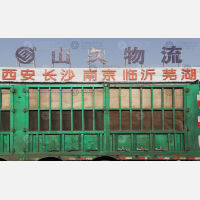 郑州到陕西西安专线,郑州到陕西西安直达线路,郑州到陕西西安中转线路