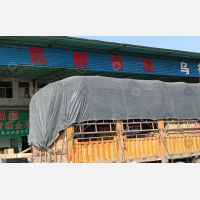 广州到新疆阿拉尔专线,广州到新疆阿拉尔直达线路,广州到新疆阿拉尔中转线路
