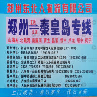 新密东北人物流