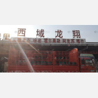 郑州到新疆喀什专线,郑州到新疆喀什直达线路,郑州到新疆喀什中转线路