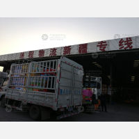 郑州到新疆喀什专线,郑州到新疆喀什直达线路,郑州到新疆喀什中转线路