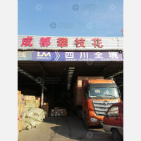 郑州到四川成都专线,郑州到四川成都直达线路,郑州到四川成都中转线路
