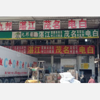 广州到广东湛江雷州专线,广州到广东湛江雷州直达线路,广州到广东湛江雷州中转线路