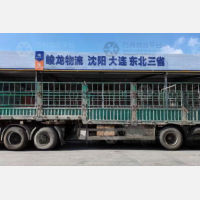 常州到辽宁沈阳专线,常州到辽宁沈阳直达线路,常州到辽宁沈阳中转线路