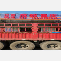南通到四川成都专线,南通到四川成都直达线路,南通到四川成都中转线路