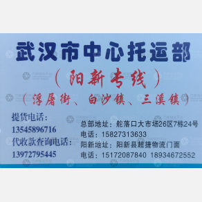 武汉中心物流