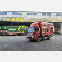 陆能物流园店网点