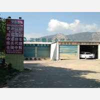 河源大道店网点