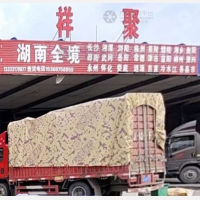 沧州到湖南湘潭专线,沧州到湖南湘潭直达线路,沧州到湖南湘潭中转线路