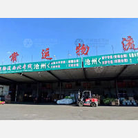 沧州到新疆乌鲁木齐专线,沧州到新疆乌鲁木齐直达线路,沧州到新疆乌鲁木齐中转线路