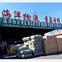 沧州到山东青岛黄岛区胶南街道专线,沧州到山东青岛黄岛区胶南街道直达线路,沧州到山东青岛黄岛区胶南街道中转线路