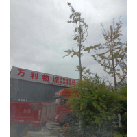 利川店网点