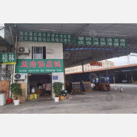广州到广东佛山南海区专线,广州到广东佛山南海区直达线路,广州到广东佛山南海区中转线路