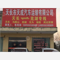 天长天成物流