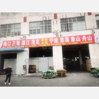 金汇镇工业路店网点
