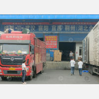 成都到湖北天门专线,成都到湖北天门直达线路,成都到湖北天门中转线路