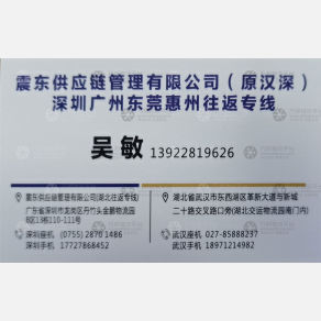 武汉震东物流