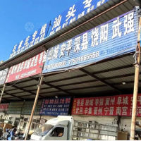 衡水到河北衡水阜城专线,衡水到河北衡水阜城直达线路,衡水到河北衡水阜城中转线路
