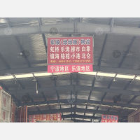 杭州到浙江温州乐清虹桥镇专线,杭州到浙江温州乐清虹桥镇直达线路,杭州到浙江温州乐清虹桥镇中转线路