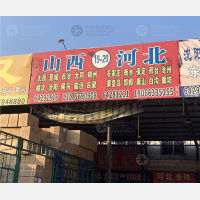 龙港到河北衡水专线,龙港到河北衡水直达线路,龙港到河北衡水中转线路