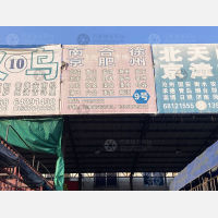 龙港到江苏南京六合区专线,龙港到江苏南京六合区直达线路,龙港到江苏南京六合区中转线路