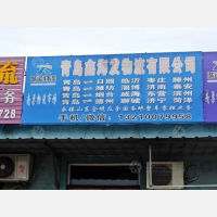 青岛到山东临沂专线,青岛到山东临沂直达线路,青岛到山东临沂中转线路
