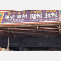 石家庄到山东青岛专线,石家庄到山东青岛直达线路,石家庄到山东青岛中转线路