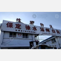 天津到河北保定专线,天津到河北保定直达线路,天津到河北保定中转线路