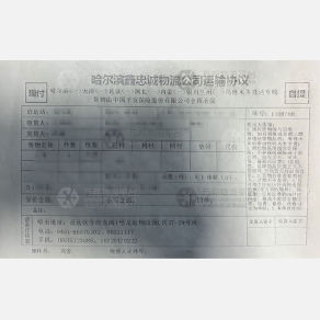 天津忠诚物流