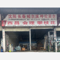 成都到四川凉山西昌专线,成都到四川凉山西昌直达线路,成都到四川凉山西昌中转线路