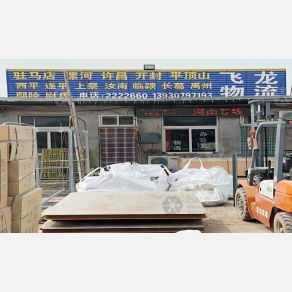 任丘飞龙物流