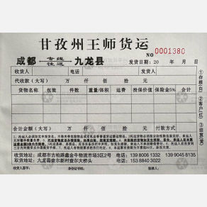 成都王师物流九龙线