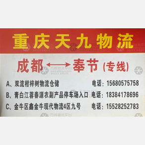 成都天九/胖大姐物流