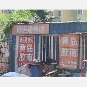 青岛好运通物流