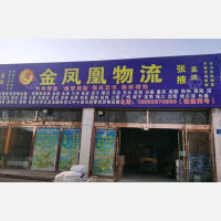 张掖金凤凰物流