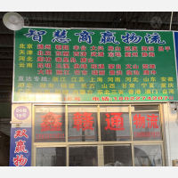 佛山智慧商赢/鑫赣通物流
