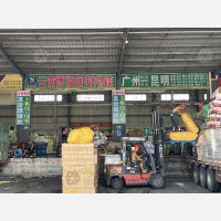 佛山到云南红河专线,佛山到云南红河直达线路,佛山到云南红河中转线路