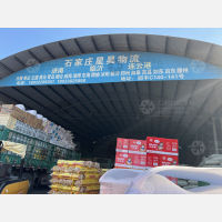 石家庄到山东青岛专线,石家庄到山东青岛直达线路,石家庄到山东青岛中转线路