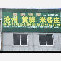 石家庄到河北沧州专线,石家庄到河北沧州直达线路,石家庄到河北沧州中转线路
