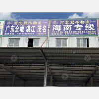 石家庄到广东潮州专线,石家庄到广东潮州直达线路,石家庄到广东潮州中转线路