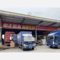 佛山到海南临高专线,佛山到海南临高直达线路,佛山到海南临高中转线路