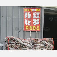乾龙物流园店网点