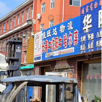 长春到辽宁沈阳专线,长春到辽宁沈阳直达线路,长春到辽宁沈阳中转线路
