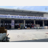 临沂到广西来宾专线,临沂到广西来宾直达线路,临沂到广西来宾中转线路