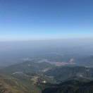 新星
