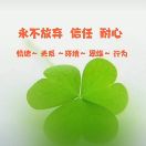 四叶草