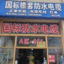 展望未来：国标防水电缆