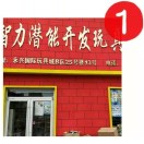 A临沂智力潜能开发玩具