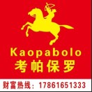 山东苏北临沂考帕保罗运营中心